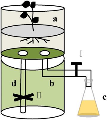 The effects of allelochemicals from root exudates of Flaveria bidentis on two Bacillus species